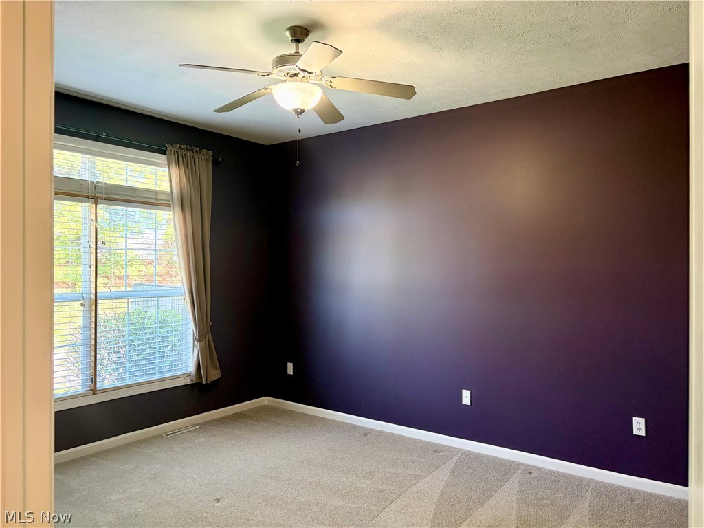 10945 Rocky Ledge Lane Painesville OH 44077