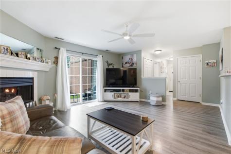 3284 Lenox Village Drive Fairlawn OH 44333