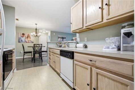 3284 Lenox Village Drive Fairlawn OH 44333