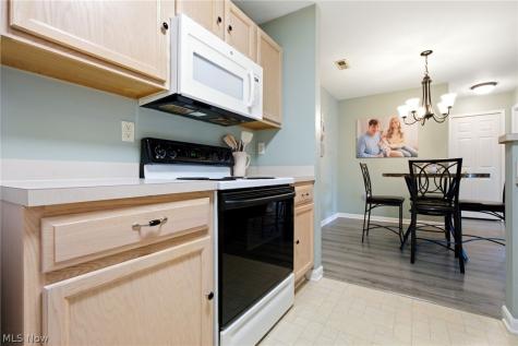 3284 Lenox Village Drive Fairlawn OH 44333