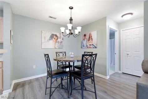 3284 Lenox Village Drive Fairlawn OH 44333