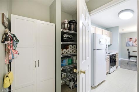 3284 Lenox Village Drive Fairlawn OH 44333