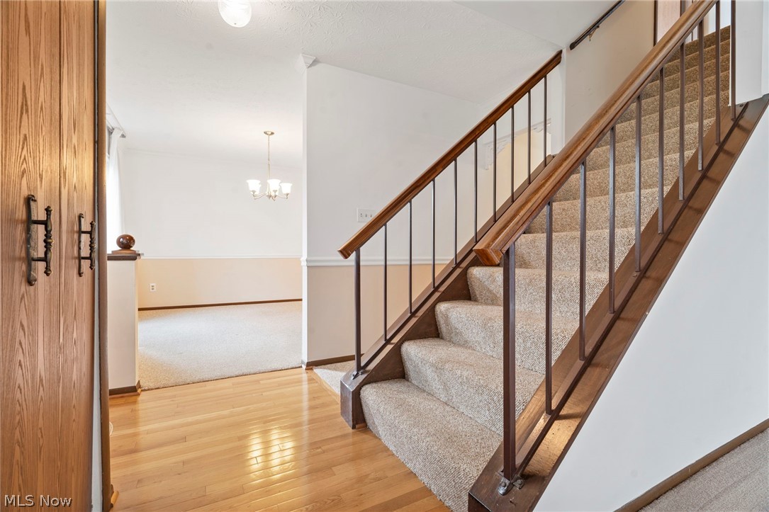 32635 Jefferson Drive Solon OH 44139