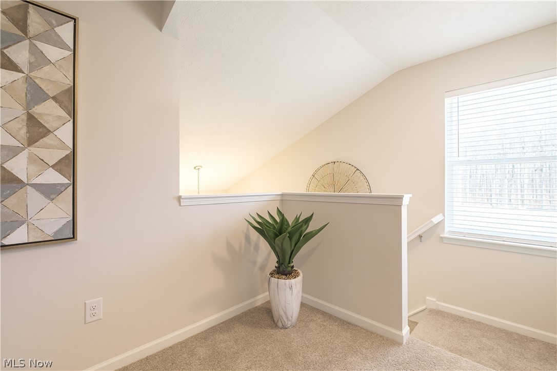 3559 Alder Avenue Green OH 44685