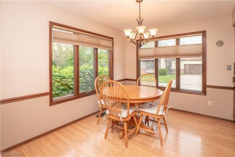 60 Picadilly Court Kent OH 44240