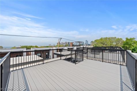 3111 Vine Court Cleveland OH 44113