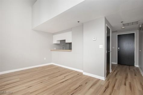 1133 W 9th Street Cleveland OH 44113