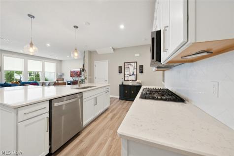 690 Harbour Town Court Avon Lake OH 44012