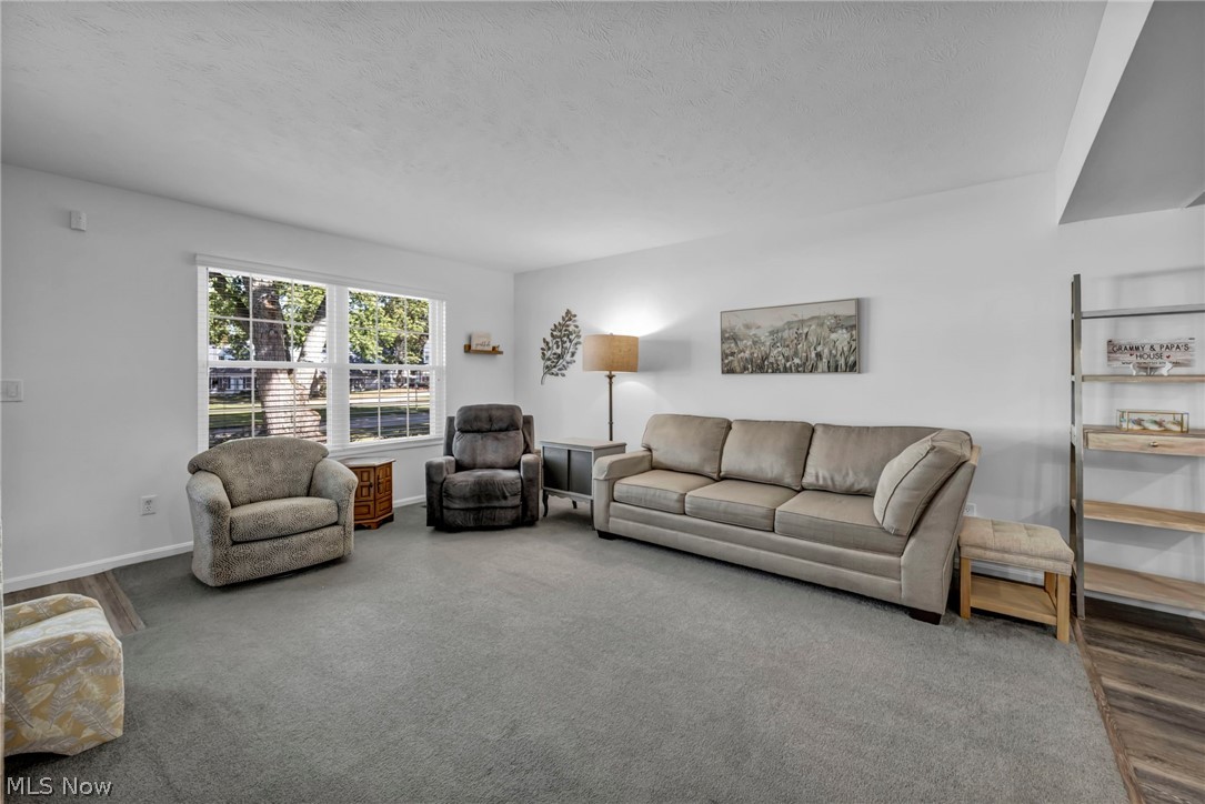 9838 Highgate Court Mentor OH 44060