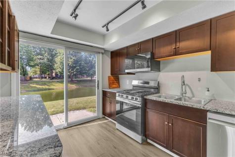 26636 Lake Of The Falls Road Olmsted Falls OH 44138