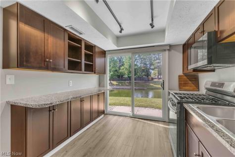 26636 Lake Of The Falls Road Olmsted Falls OH 44138