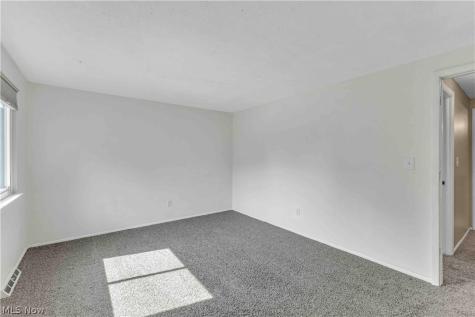 26636 Lake Of The Falls Road Olmsted Falls OH 44138
