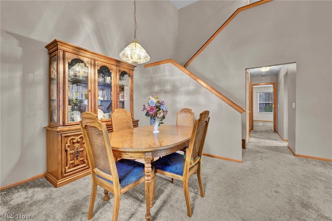 7596 Willow Woods Drive North Olmsted OH 44070