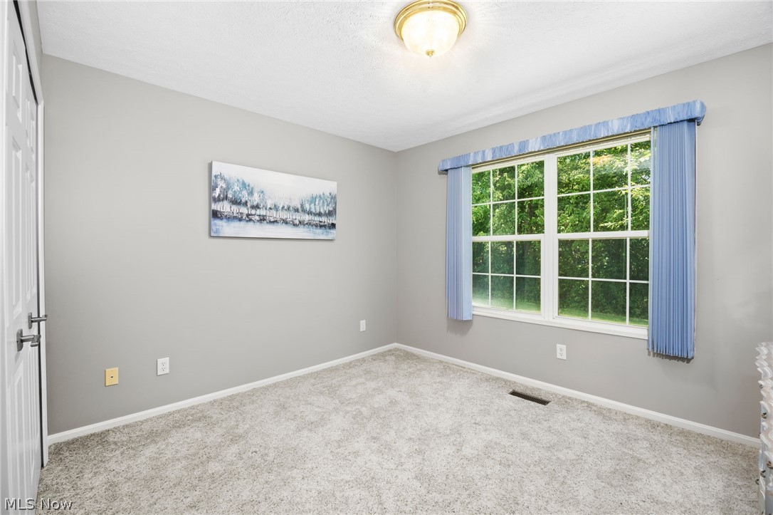 7393 Willow Woods Drive North Olmsted OH 44070
