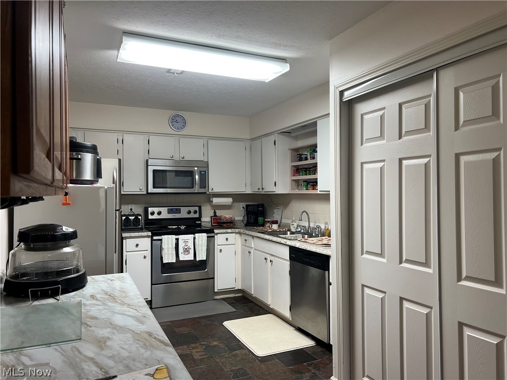 7006 Bristlewood Drive Painesville OH 44077