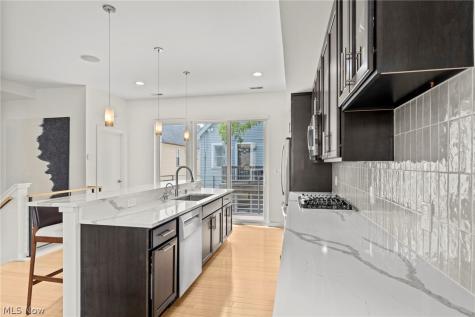 2040 W 11 Place Cleveland OH 44113