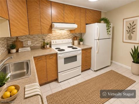 12520 Edgewater Drive Lakewood OH 44107