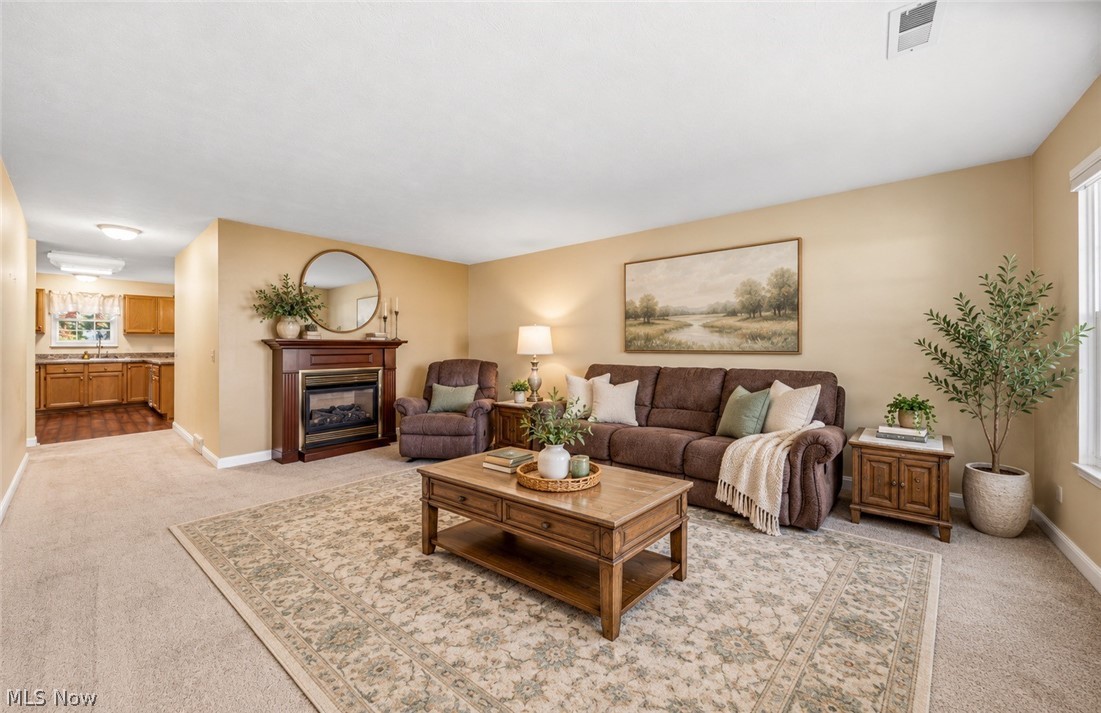 380 Chesapeake Cove Painesville OH 44077