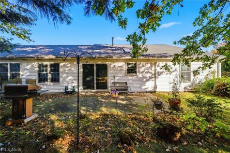 380 Chesapeake Cove Painesville OH 44077