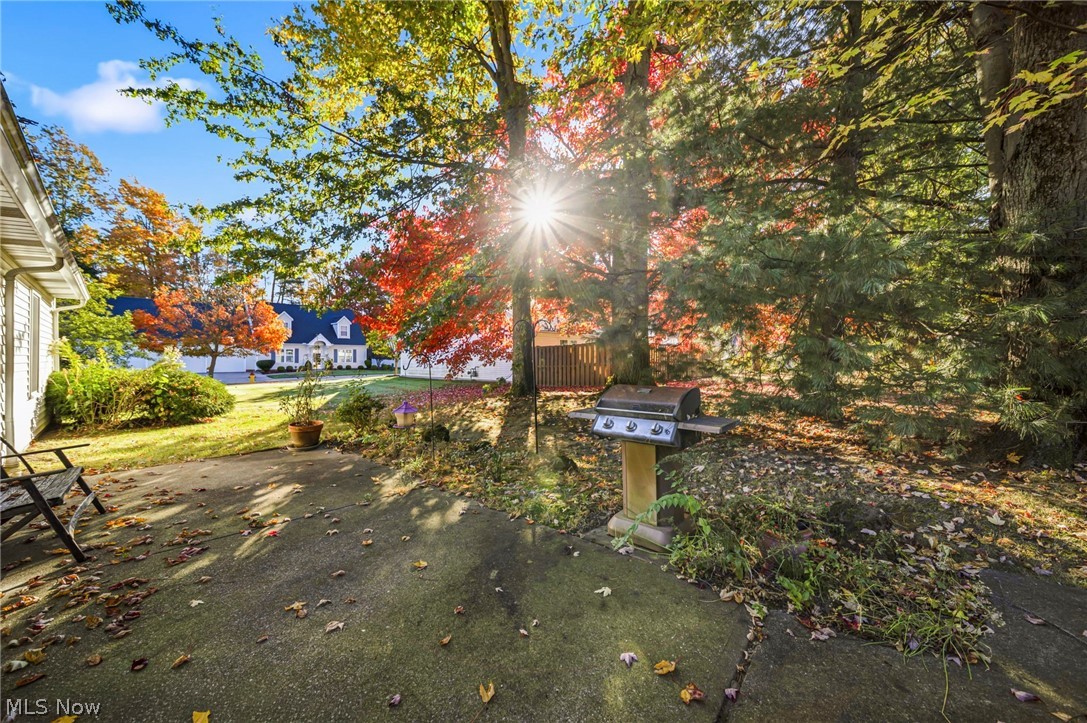 380 Chesapeake Cove Painesville OH 44077