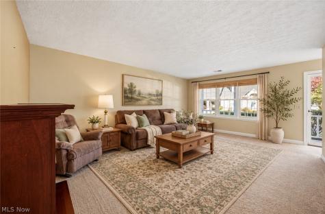 380 Chesapeake Cove Painesville OH 44077