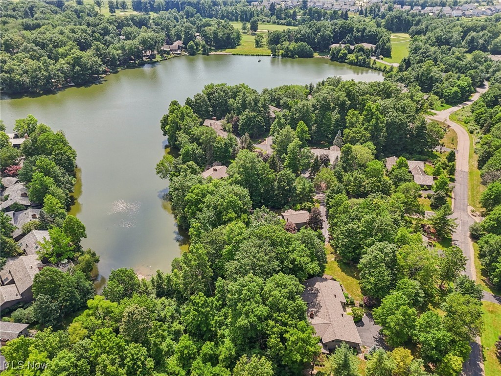 461 Ravine Drive Aurora OH 44202