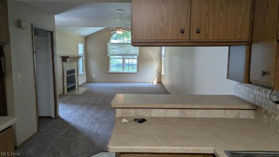50 Stratford Green Drive Canfield OH 44406