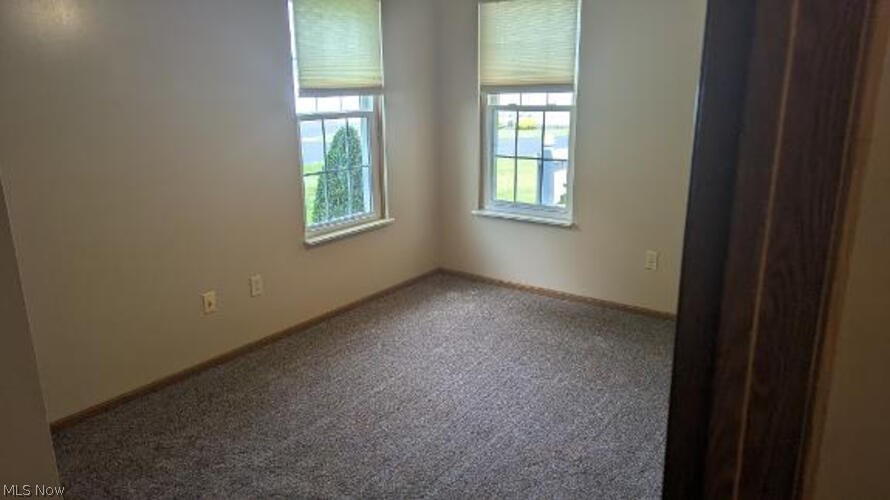 50 Stratford Green Drive Canfield OH 44406