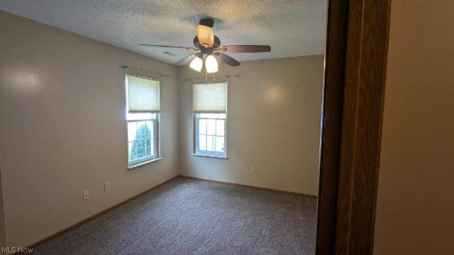 50 Stratford Green Drive Canfield OH 44406