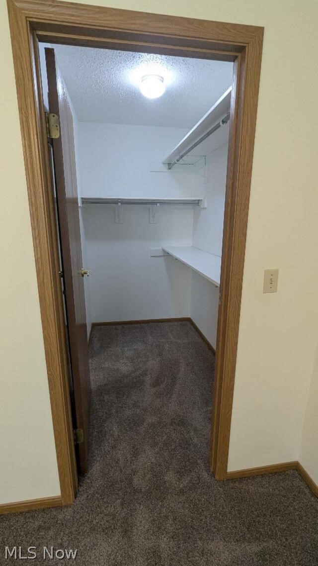 50 Stratford Green Drive Canfield OH 44406
