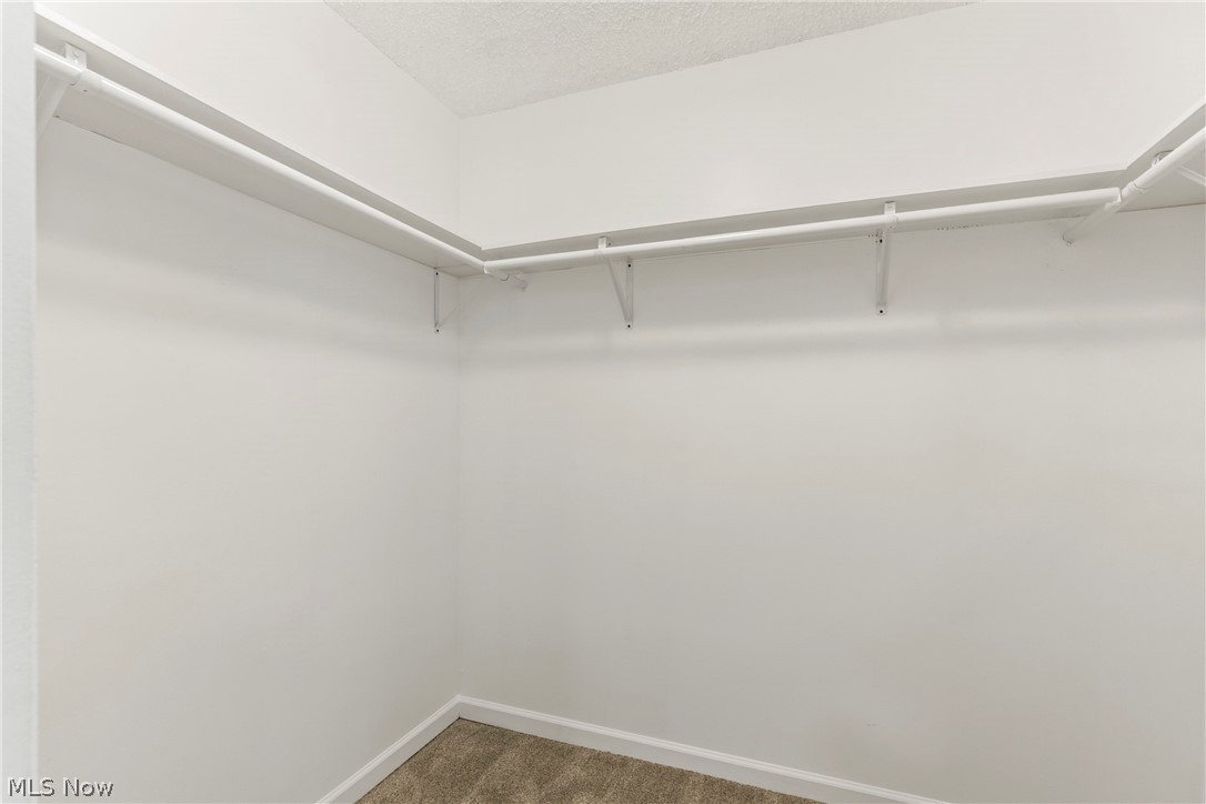 1028 Hampton Ridge Drive Akron OH 44313