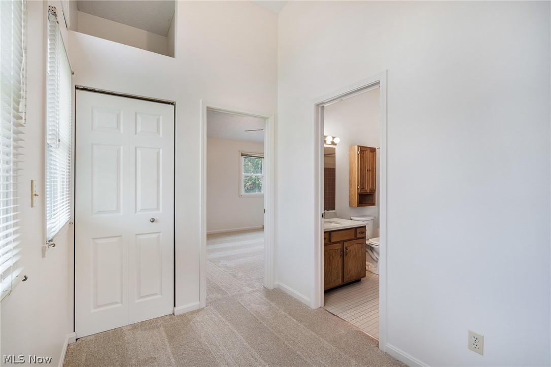 3815 Mercedes Place Canfield OH 44406