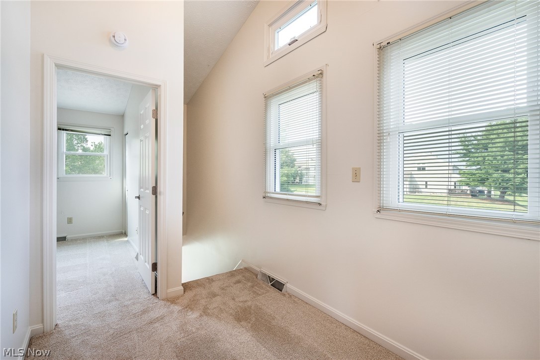 3815 Mercedes Place Canfield OH 44406