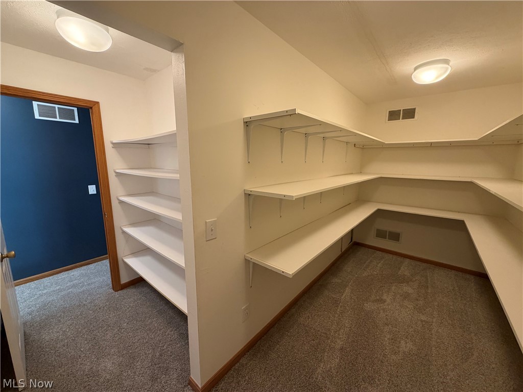 5298 Queen Ann Way Painesville OH 44077