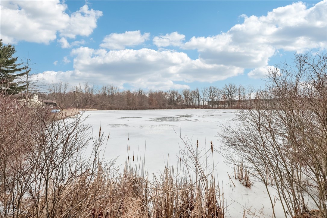 29 Tudor Lane Kent OH 44240