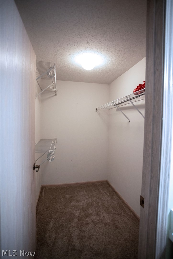 695 E Western Reserve Road Poland OH 44514