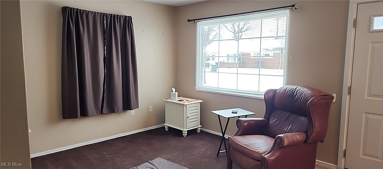 298 Buckner Drive Euclid OH 44123