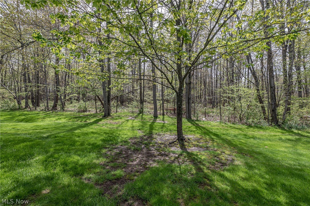 10297 Independence Drive North Royalton OH 44133