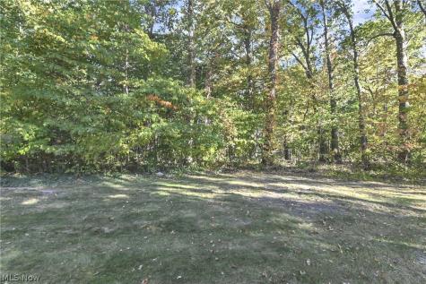 2053 Candlewood Drive Avon OH 44011