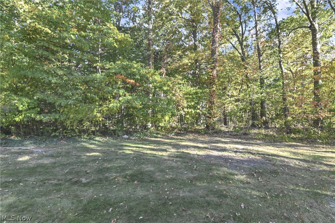 2053 Candlewood Drive Avon OH 44011