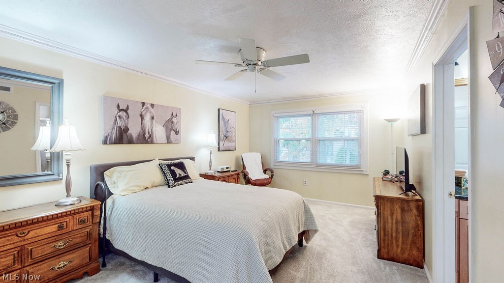 6794 Chaffee Court Brecksville OH 44141