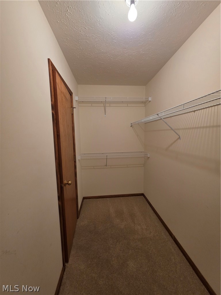 4025 Woodland Drive Vermilion OH 44089