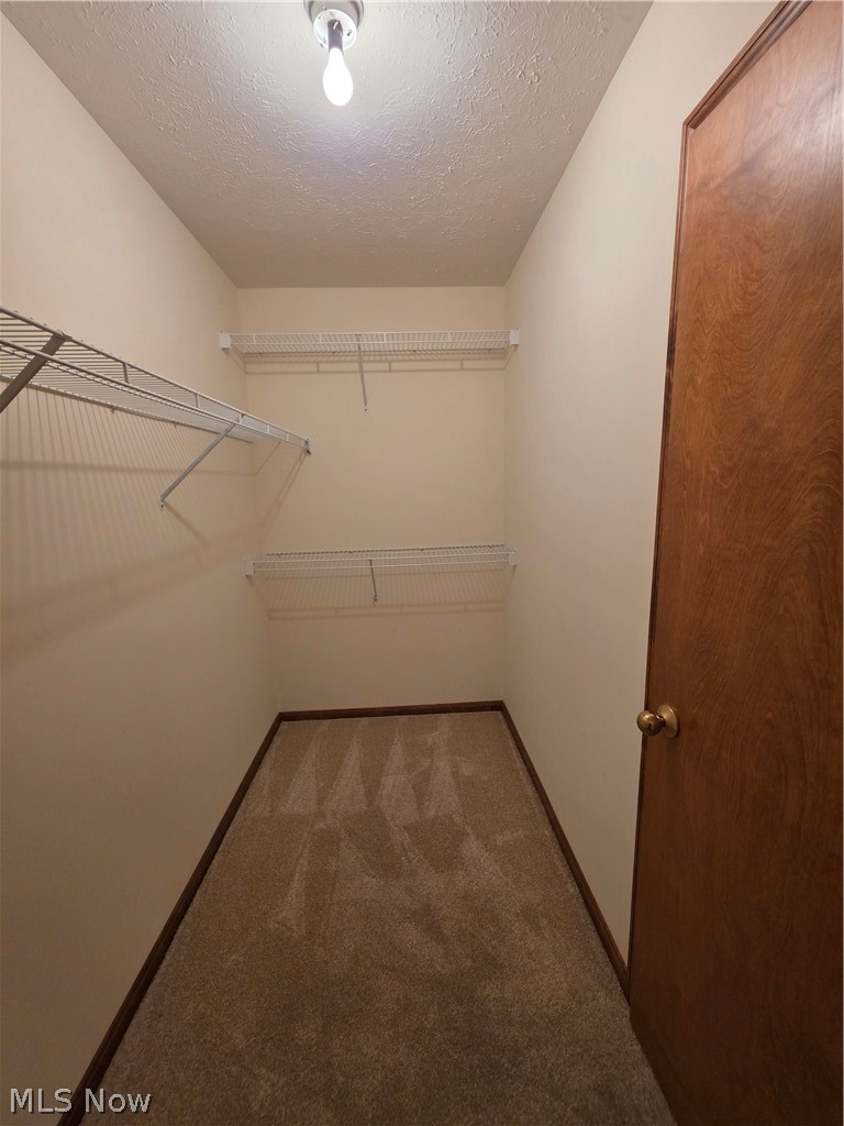 4025 Woodland Drive Vermilion OH 44089