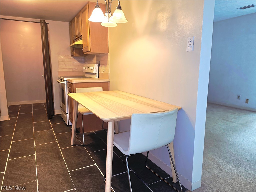 6850 Carriage Hill Drive Brecksville OH 44141