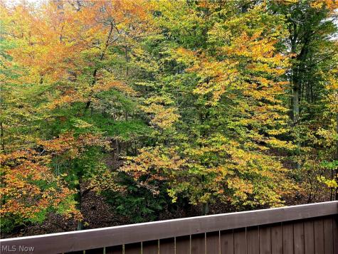 6850 Carriage Hill Drive Brecksville OH 44141