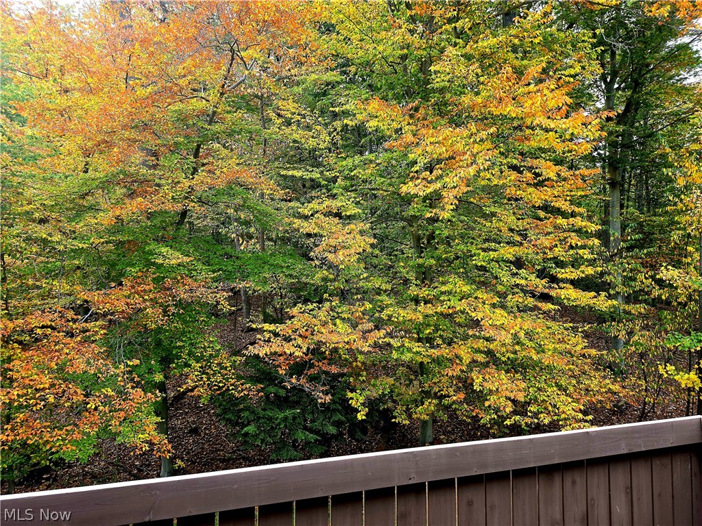 6850 Carriage Hill Drive Brecksville OH 44141