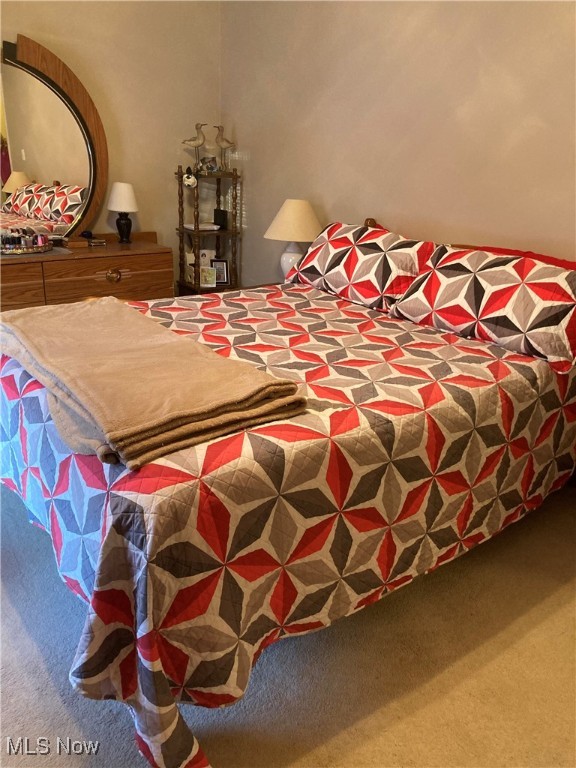 299 Ivy Hill Medina OH 44256