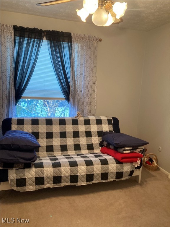 299 Ivy Hill Medina OH 44256