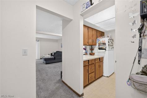1133 Townsview Place Wooster OH 44691