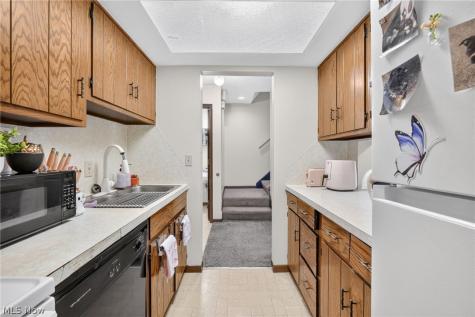1133 Townsview Place Wooster OH 44691